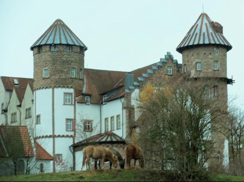 Luxus Appartement Im Schloss Fockelberg ภายนอก รูปภาพ
